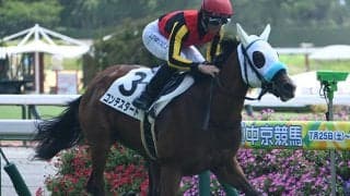 【中京2R新馬戦結果】リアルスティール産駒コンテスタードが3馬身差で快勝