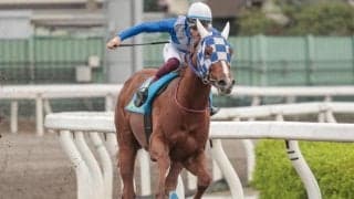 【浦和・ルーキーズサマーC枠順】南関東最初の2歳重賞 3連勝中のモリケンは6枠6番、2戦2勝のルースアグレッシブは3枠3番