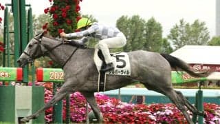 【札幌５Ｒ・２歳新馬】速い時計出さずに完勝！「めちゃくちゃ動く」吉田隼人騎手絶賛のシルバーウィルが逃げ切りＶ　