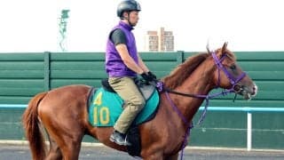 【札幌５Ｒ・２歳新馬】好調エフフォーリア産駒のジーフォーリアは４着　横山武史騎手「長い目でみたい」