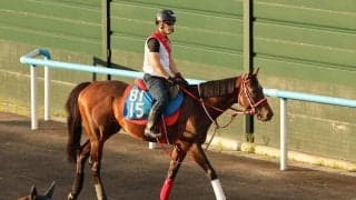 土曜札幌競馬場の注目激走馬…札幌１１Ｒエルムステークス・Ｇ３