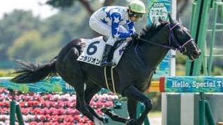 【新潟3R新馬戦結果】リオンディーズ産駒コラリオンが初陣飾る