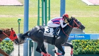 【新潟2R新馬戦結果】ミトール産駒ジャスパートレノが逃げ切り勝ち