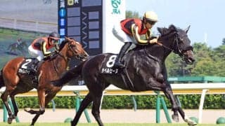 【新潟６Ｒ・三面川特別】３歳馬ラベルセーヌが最速３２秒３の切れ味で賞金加算に成功　荻野極騎手「最後は素晴らしい反応」
