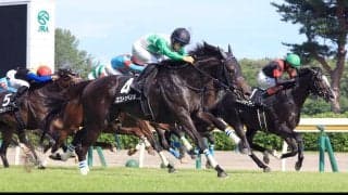 【新潟７Ｒ・関越Ｓ】エストゥペンダが待望のオープン初勝利　荻野極騎手「皆さんのおかげでいい走りをしてくれた」
