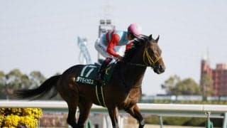 【CBC賞予想】3歳馬が苦戦するのは経験不足が要因!? レース傾向から脚質的に信頼しきれない人気の一角とは