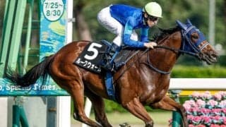 【ダリア賞結果】ルークウォームがレコードVで無傷2連勝