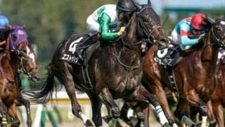 【関越S結果】エストゥペンダが人気に応えてオープン初勝利