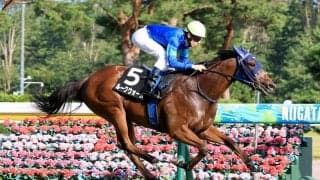 【新潟８Ｒ・ダリア賞】「あまり良い競馬じゃなかったですね…」手塚久調教師は課題挙げるもルークウォームがレコード勝ち　