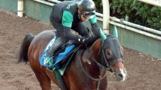 【ＣＢＣ賞・特選有力馬チェック】レイピアは買うべき？