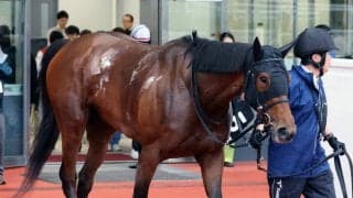【クラスターＣ】川田将雅騎手とコンビのアンズアメは８枠９番　新人女性ジョッキー・斎藤友香騎手のルクスディライトは７枠７番