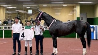 【中京１１Ｒ】良血馬バルセシートが１勝クラスで２馬身差の完勝　西村淳也騎手「もう何の問題もない。素晴らしい」