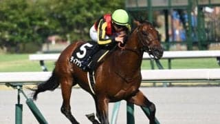 【AI予想・CBC賞】陣営が先々の大舞台を見据えるほどの逸材！ 近2走の内容から重賞でも期待十分の人工知能の本命馬