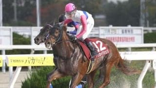 【門別・北海道SC枠順】3歳限定の短距離ダートグレード競走 JRAのトウカイマシェリは8枠10番