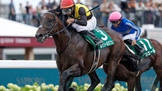【エルムS結果】ルクソールカフェがダートに戻って快勝 復活の重賞2勝目