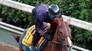 【ＣＢＣ賞・土曜気配】重賞勝ち馬アブキールベイは坂路で活気ある動き　坂口調教師「スムーズなら脚を使ってくれます」