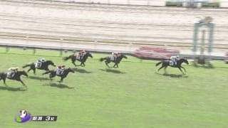 「末脚キレキレ」“楽々先頭→上がり最速デビューV” 新馬をファン絶賛「手応えぶっ壊れ」「クラシックいける馬かも」