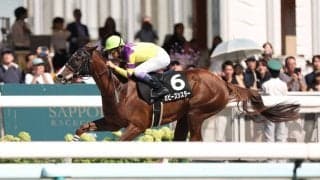 ガビーズシスターが大井へ移籍