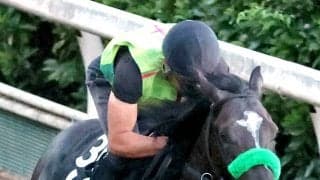 【レパードＳ・馬トク最終ジャッジ】ダートで底を見せていないメルカントゥール　あるレース傾向が死角になる？