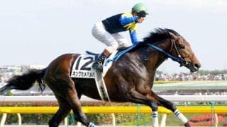 ８月９日はキングカメハメハの命日　世を去ってから７年　産駒ロードカナロア、孫にアーモンドアイなど数々の名馬を送り出す