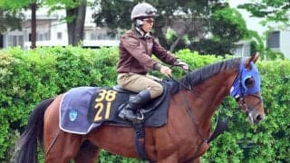 【９日の注目・札幌６Ｒ】３・２億馬ヘイジュードが距離延長で初勝利へ　兄はＧ１馬のキラーアビリティ
