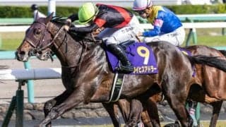 皐月賞3着のライヒスアドラー 自己条件で必勝態勢だ