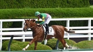 【レパードS予想】秋の大一番へ向けた3歳ダート重賞 逃げ先行有利の新潟1800m