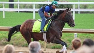 【米Ｇ１・ホイットニーＳ】フォーエバーヤングに勝った強豪ダート馬がまさか大敗　昨年の年度代表馬ソヴリンティが復活Ｖ