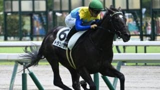 【中京3R新馬戦結果】ドラゴンバルドが快勝 セレクトセール2億6000万円のコントレイル産駒