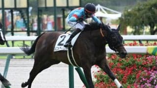 【中京2R新馬戦結果】コントレイル産駒レニュアージュが逃げ切り勝ち