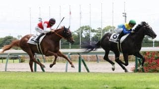 【中京３Ｒ・２歳新馬】ショウナンパンドラの息子ショウナンバトレニは母同様に２着発進　松山弘平騎手「今日は枠の差が…」