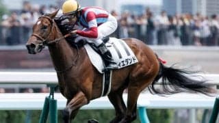 【札幌5R新馬戦結果】シルバーステート産駒ウィエダンドが逃げ切り快勝