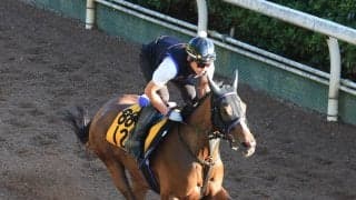 日曜中京競馬場の注目激走馬…中京７Ｒ・ＣＢＣ賞・Ｇ３