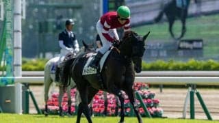 2.8億円ホース・アトミックリーチはデビュー4着…藤田晋オーナー所有、馬名は「麻雀のリーチの極限状態」