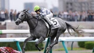 【新馬/札幌5R】キタサンブラック産駒シルバーウィルが鮮やか逃げ切りV
