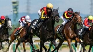 【三面川特別】単勝1.5倍ラベルセーヌが人気に応えて快勝