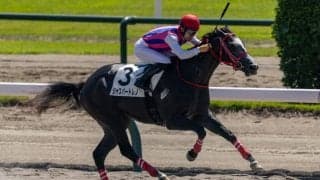 【新馬/新潟2R】ジャスパートレノが人気に応える