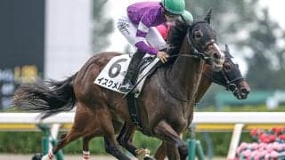 【新潟2R新馬戦結果】アルアイン産駒イスクメルが出遅れからの直線一気V