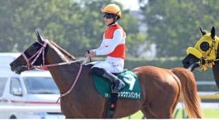 【レパードＳ】圧勝続きで２番人気のショウナンバンライは６着　田山旺佑騎手「使ってきた影響があったのかも」