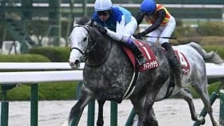 【札幌記念】アドマイヤテラ、ゼンダンハヤブサなどが登録