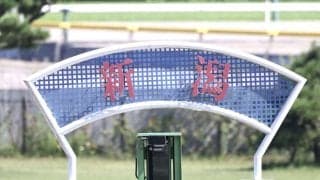 【レパードS】コントレイル産駒チェリヴェントがゴール寸前で強襲、重賞初制覇