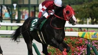 【CBC賞結果】12番人気フロムダスクが快勝 人馬ともに重賞初制覇