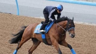 【新潟ジャンプステークス展望】障害重賞２勝目を狙うローディアマントが中心