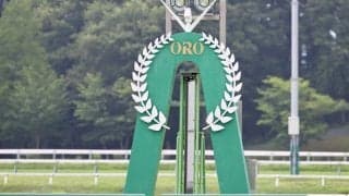 【クラスターカップ】連勝中アンズアメは8枠9番