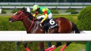 【北海道スプリントカップ】エコロレーヴは4枠4番
