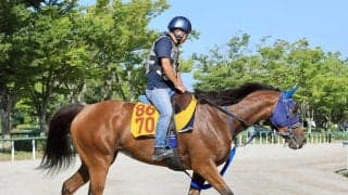 【中京記念・イシゴーの特注馬】カネラフィーナの左回りでのパフォーマンス向上期待　久々のマイル戦がポイントに
