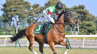 【札幌記念見どころ】年齢を重ねながらまだまだ進化するグランディア