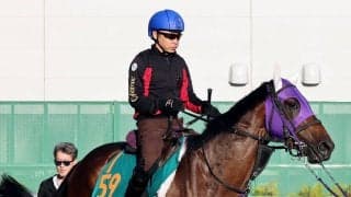 【札幌新馬・角田の特注馬】名前負けしない大物感！アイアムツヨスギルが好気配　池添謙一騎手「すごくいいものを持っている」