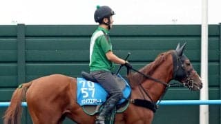 【札幌記念・ヤマタケの特注馬】今年は大混戦！　圧倒的な距離実績が心強いシェイクユアハート