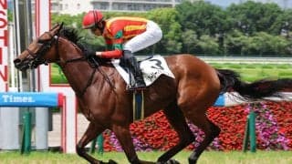 【長久手特別・松ケ下の特注馬】新馬戦で注目馬トミーバローズを撃破　３歳牝馬アーリーハーベストに期待